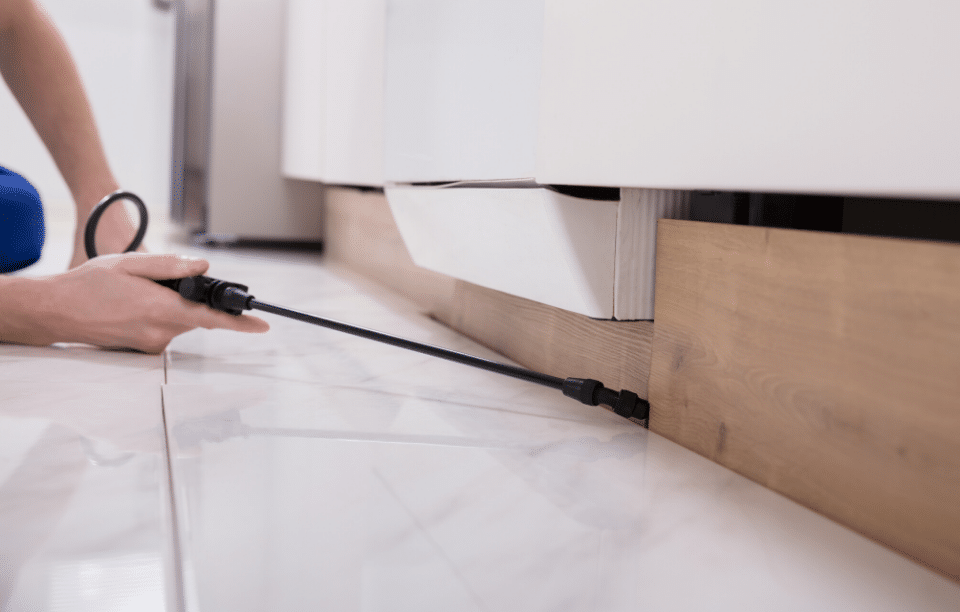 Managing Pests in Rental Properties – A Landlord’s Guide