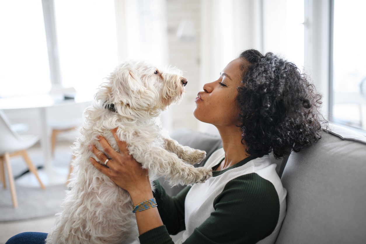 Do Landlords Have to Accept Emotional Support Animals? RentRedi