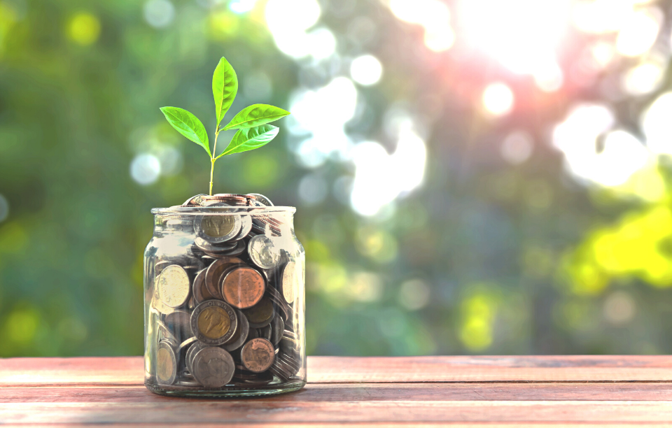 glass jar with coins and a plant for no money down investment blog