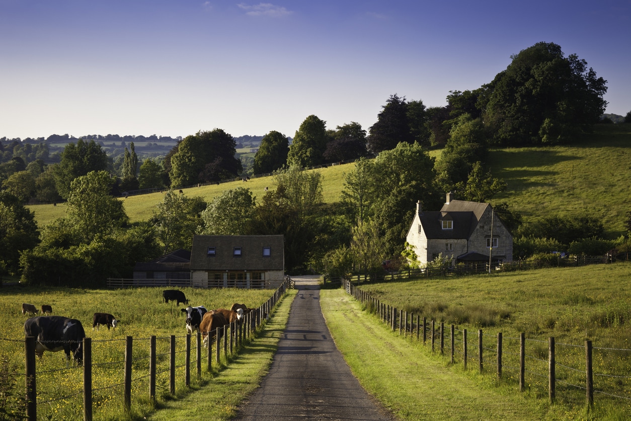 A Guide To Leasing Farm Land